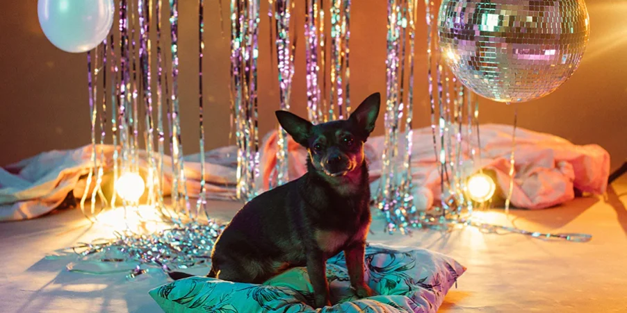 New_Years_Resolutions_for_Dog_Owners