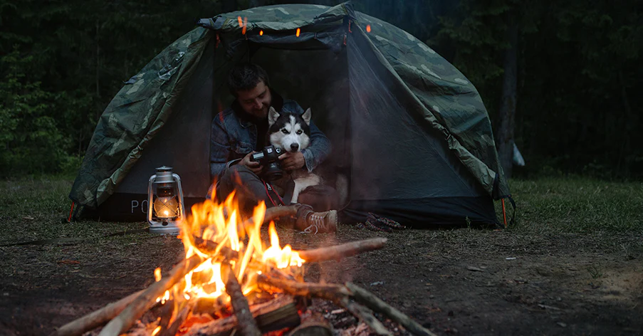 camping-dog-safety