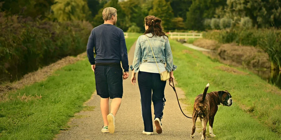dog-walking-factors
