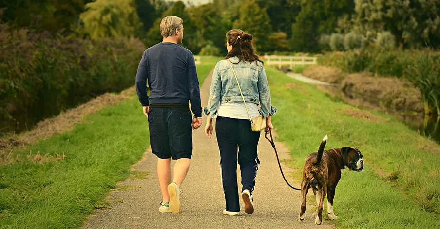 dog-walking-factors