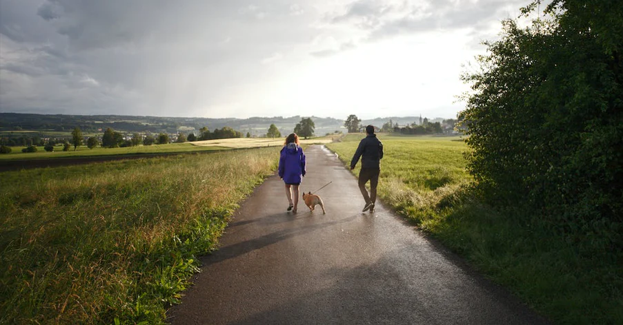 first-time-dog-owner