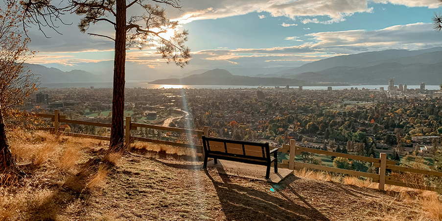 Exploring_Kelowna_with_Fido_The_Top_Dog_Friendly_Destinations