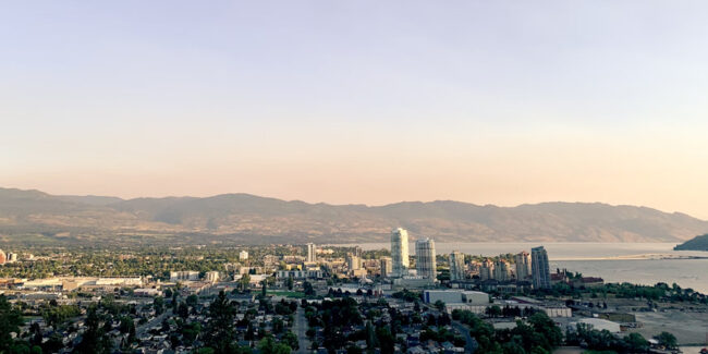 Dog_Walking_During_the_Summer_in_Kelowna