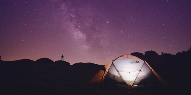 Tips_for_Bringing_Your_Dog_Camping