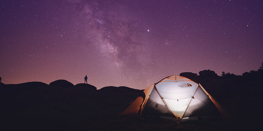 Tips_for_Bringing_Your_Dog_Camping