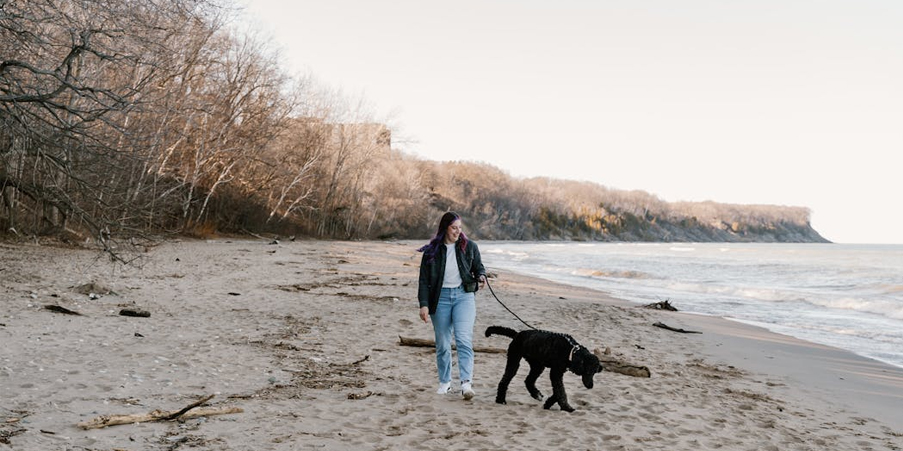 walking-dog-at-beach kelowna dog walker