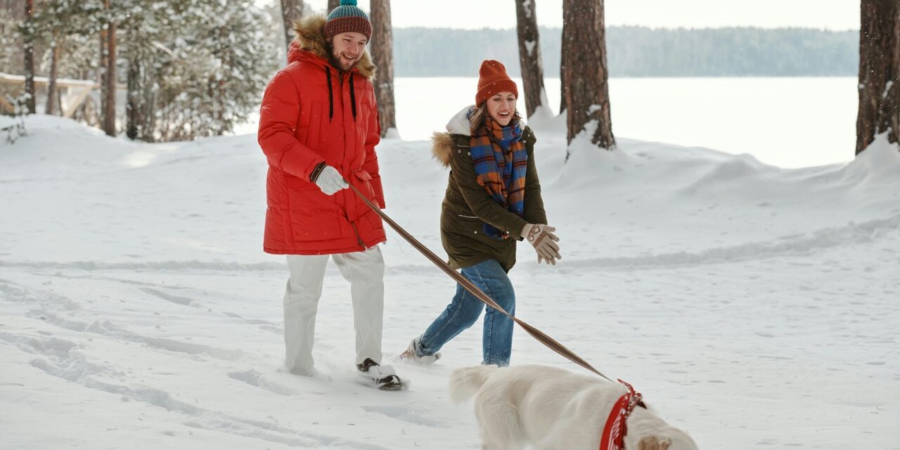 kelowna-winter-dog-walking